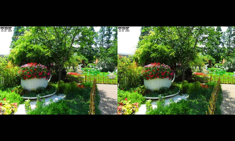 上海植物园 2016  240712 - 图片8