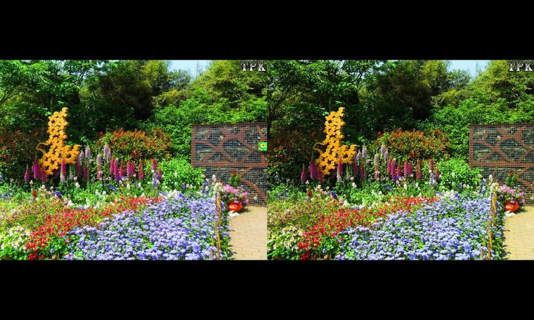 上海植物园2016（2） 240713 - 图片2