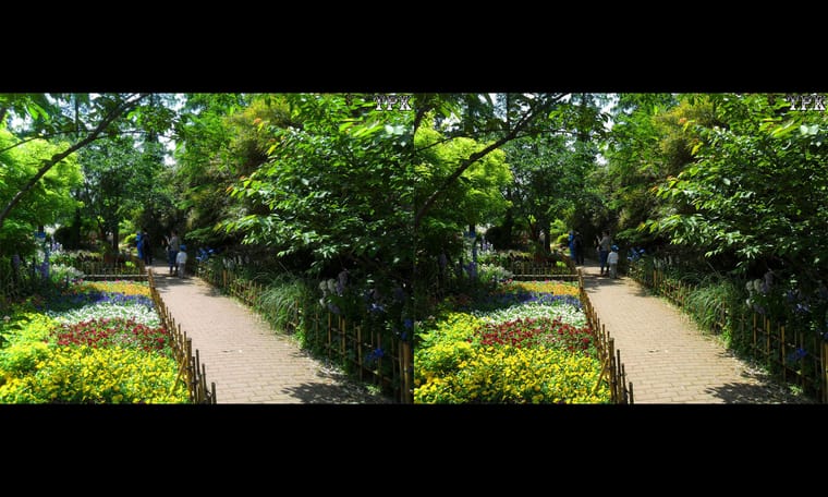上海植物园2016（2） 240713 - 图片6