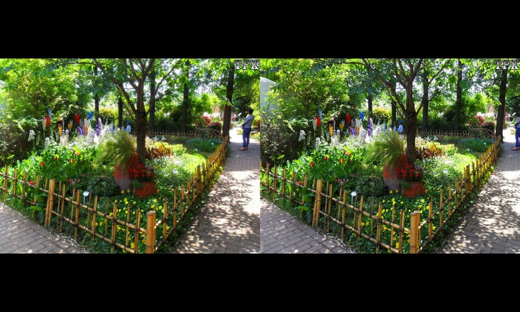 上海植物园2016（2） 240713 - 图片7