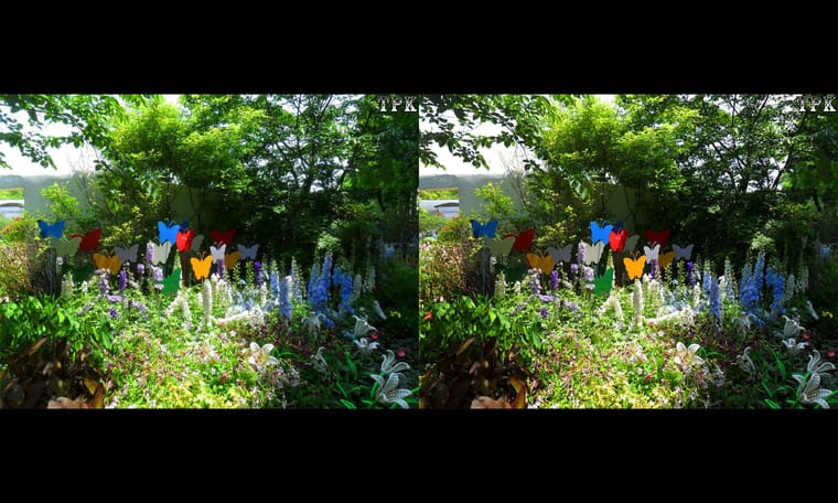 上海植物园2016（2） 240713 - 图片8