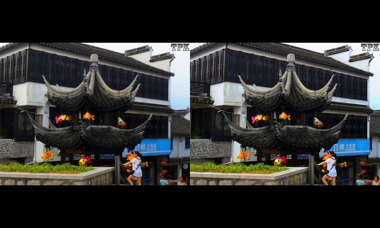 TPK 立体摄影画廊  240719 - 图片3