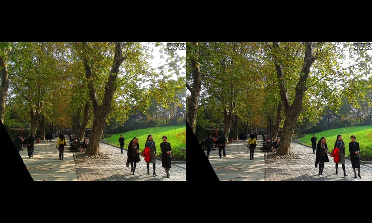 初秋的上海静安公园  240721 - 图片4