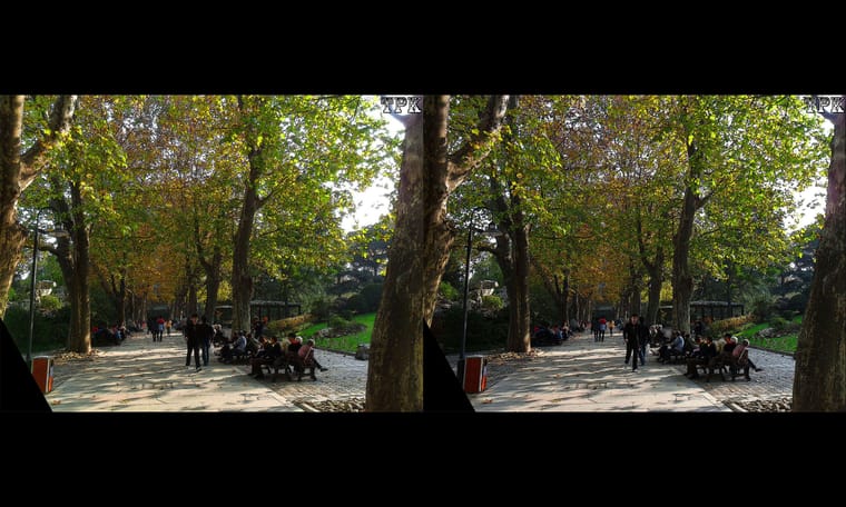 初秋的上海静安公园  240721 - 图片6