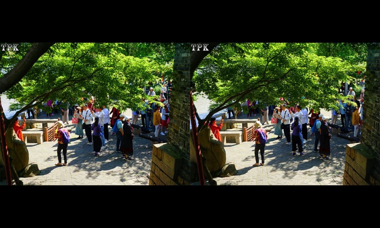 苏州寒山寺景区  240725 - 图片8