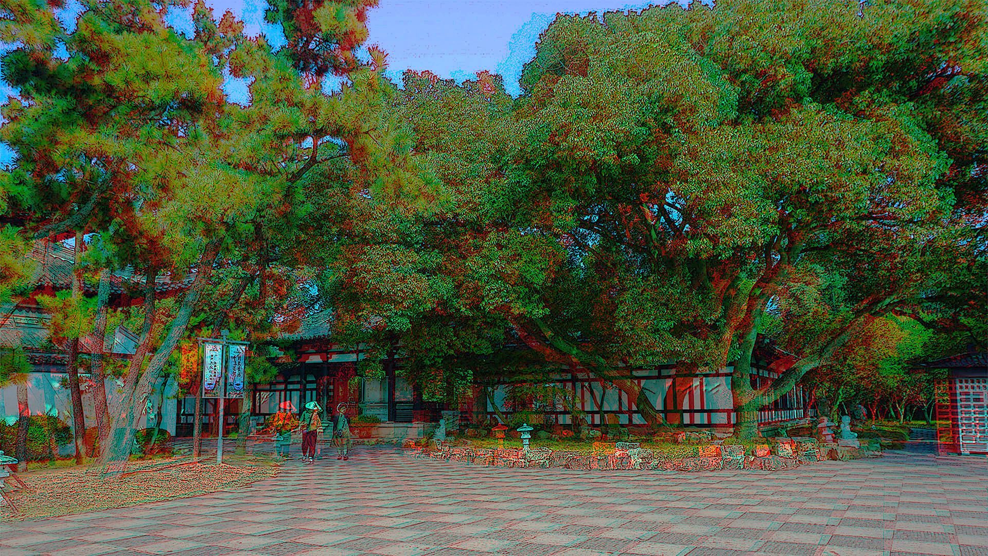 扬州 大明寺  240820 - 主图
