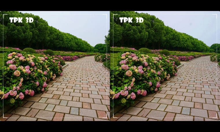 上海世纪公园的绣球花  240821 - 主图