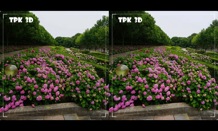 上海世纪公园的绣球花  240821 - 图片5