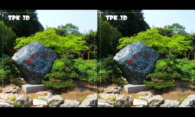 游园拾遗  240822 - 主图