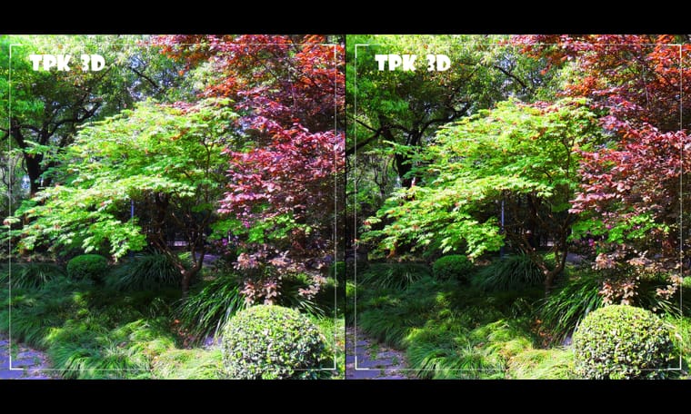 游园拾遗  240822 - 图片3