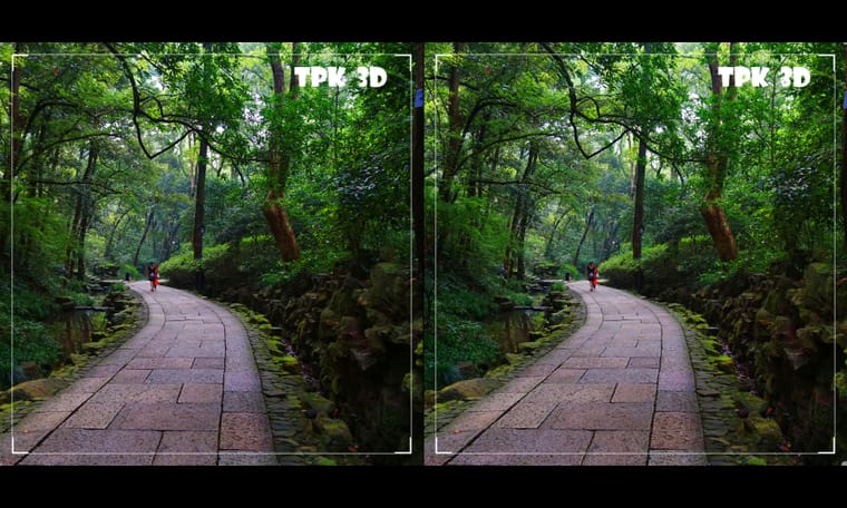 依恋山石间  240825 - 图片6