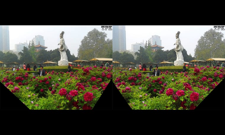 洛阳行 赏牡丹3  240920 - 图片9