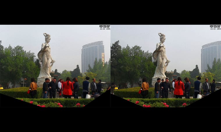 洛阳行新作 赏牡丹4   240921 - 图片8