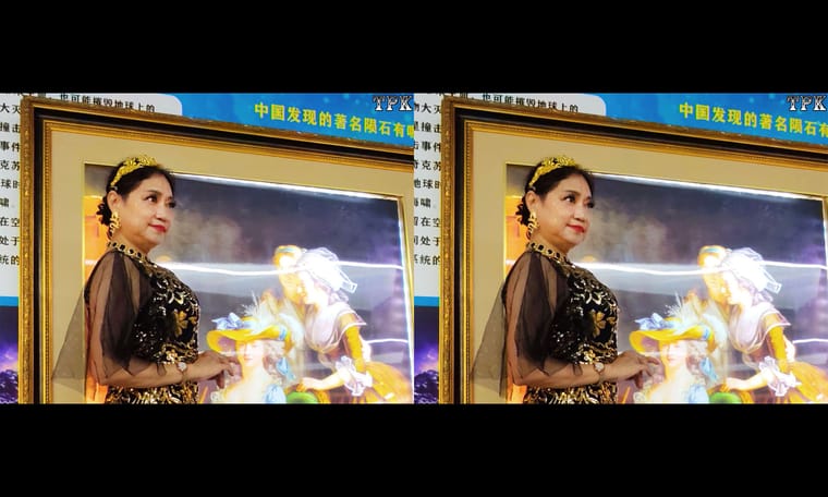 TPK 画廊  金秋立体摄影展览会2   241015 - 图片7