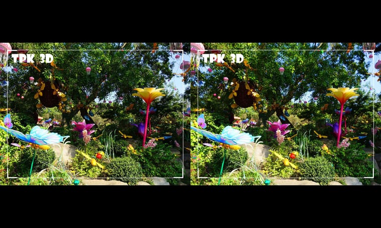 蝴蝶 蜜蜂 花仙子   241030 - 图片6