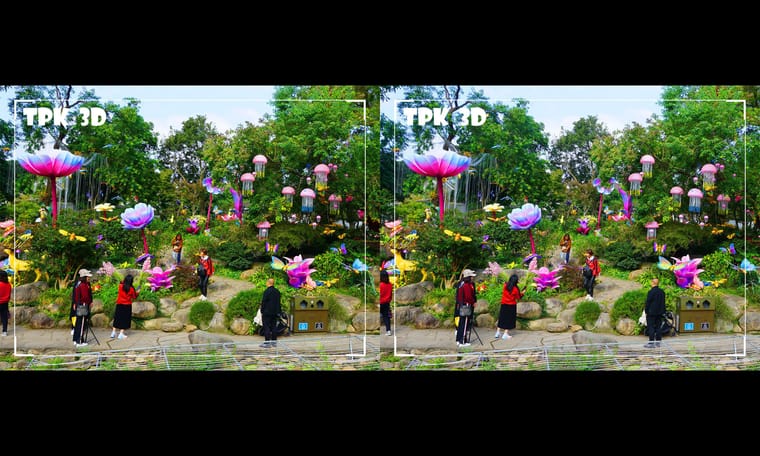 蝴蝶 蜜蜂 花仙子   241030 - 图片7