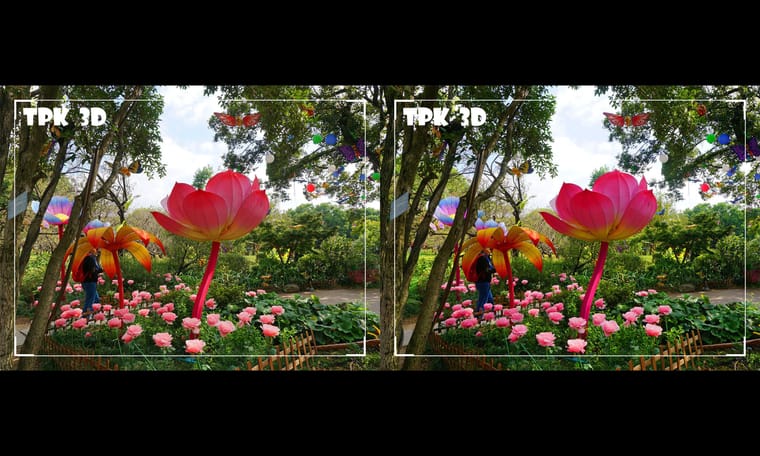 蝴蝶 蜜蜂 花仙子   241030 - 图片8