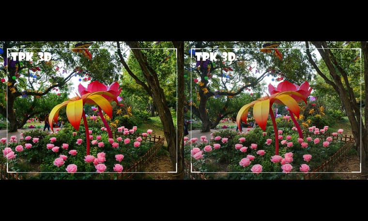 蝴蝶 蜜蜂 花仙子   241030 - 图片9