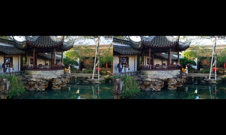 苏州 网师园1  241120 - 图片7