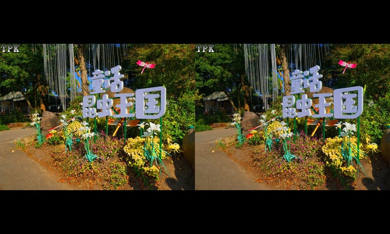 241122 老少皆宜游“王国”1 - 主图