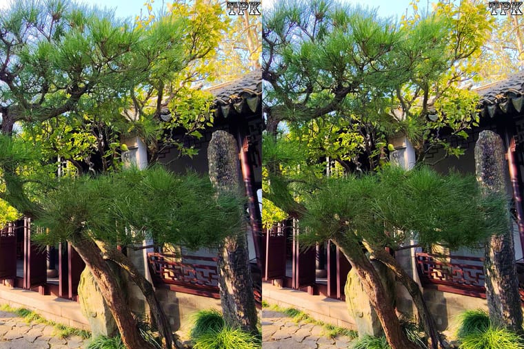 匠心之作 241130 苏州 网师园2 - 图片3