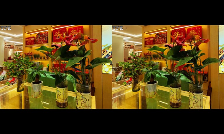 241204 沿南京路走走 - 图片4