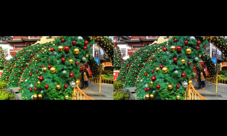 节日气氛愈来愈浓  241222 - 图片5