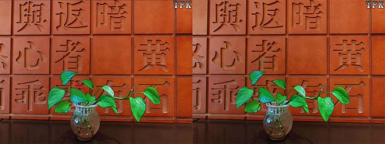250126 静物立体摄影 - 图片2
