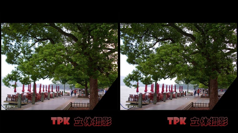 【立体摄影】 250331  西子湖畔 - 图片2