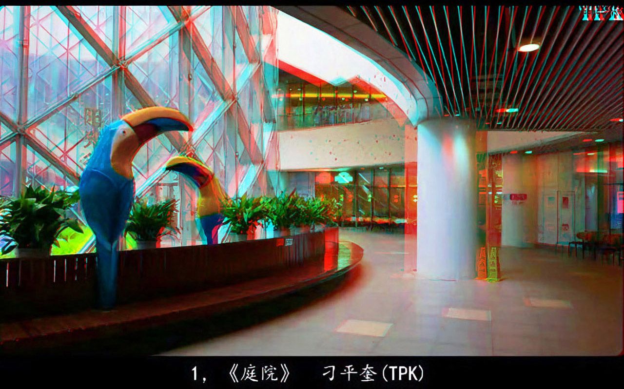 《中国立体摄影作品选》 2025年第四期 红青图版 - 图片2