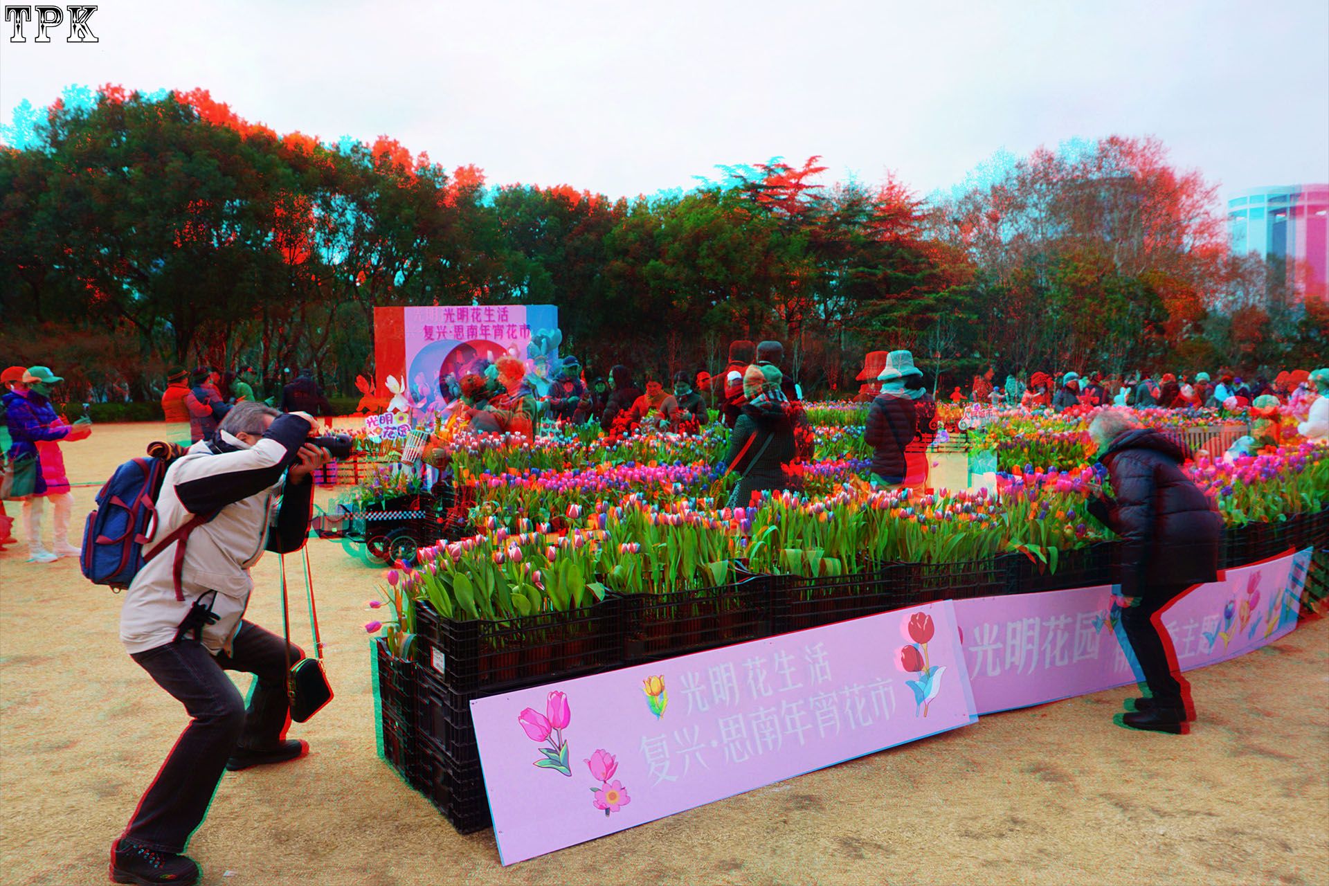 2026年迎春花市 1【立体摄影】XRC红青图  260202 - 图片3