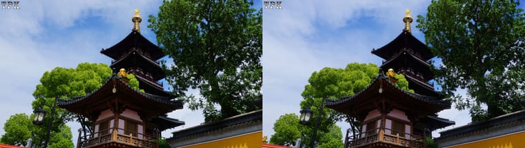 【立体摄影】平行左右图 260209 - 图片6