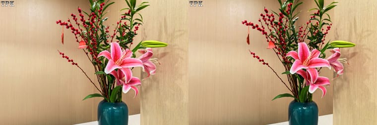 春来摄意浓【立体摄影】平行左右图 260219 - 图片4