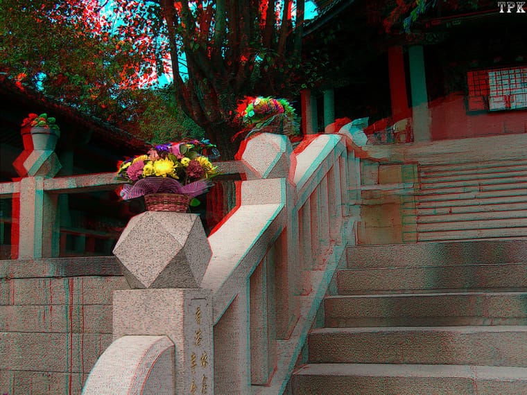 厦门 F【红青图】260321 - 图片5