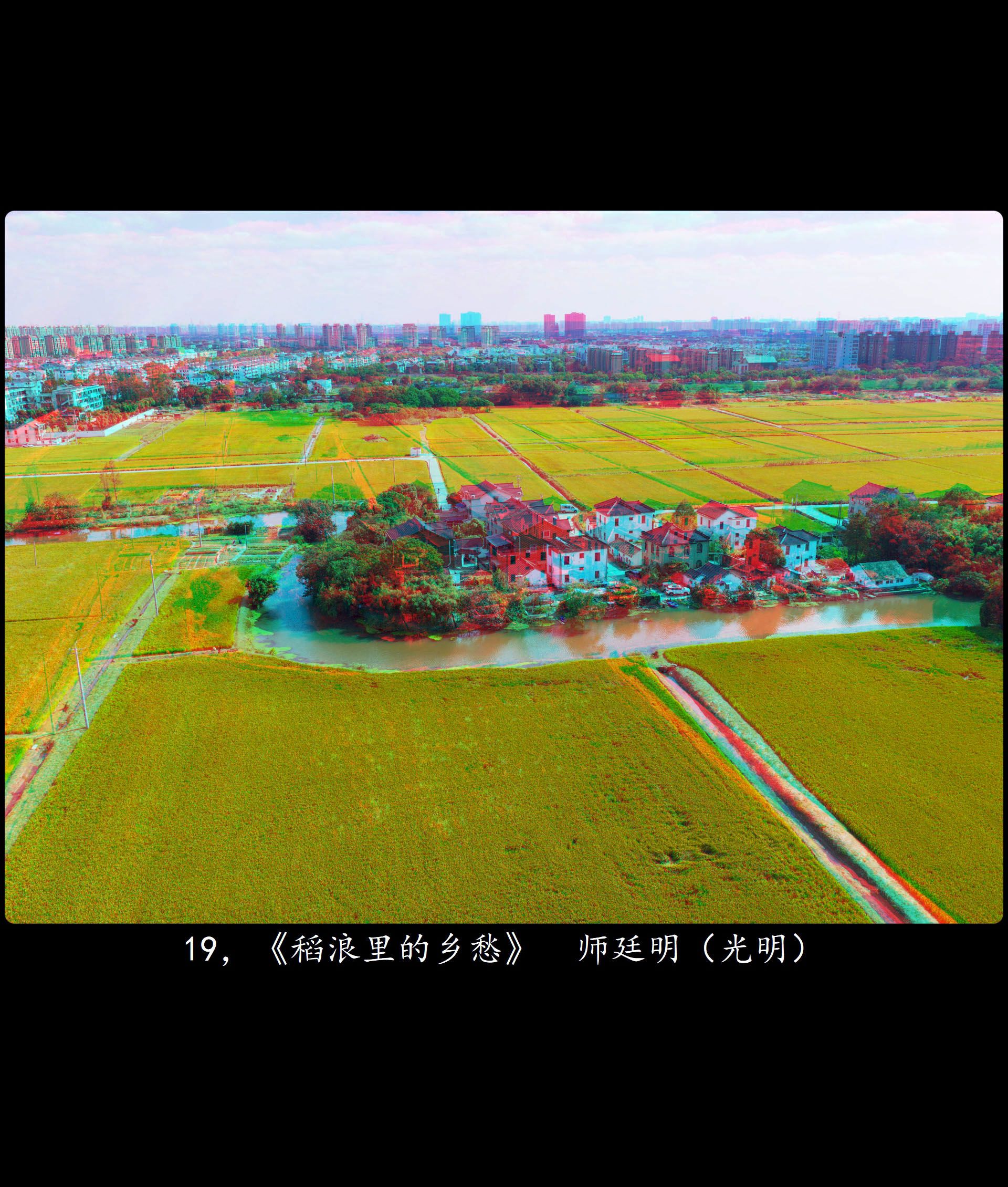 全国立体摄影作品选 II【佳作欣赏】XRC红青图 260330 - 图片9