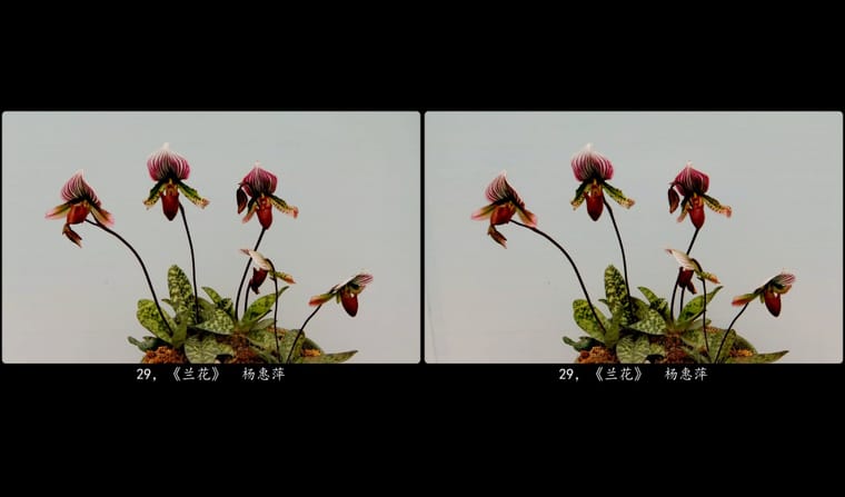 全国立体摄影作品选 III【佳作欣赏】SBS左右图 260331 - 图片9