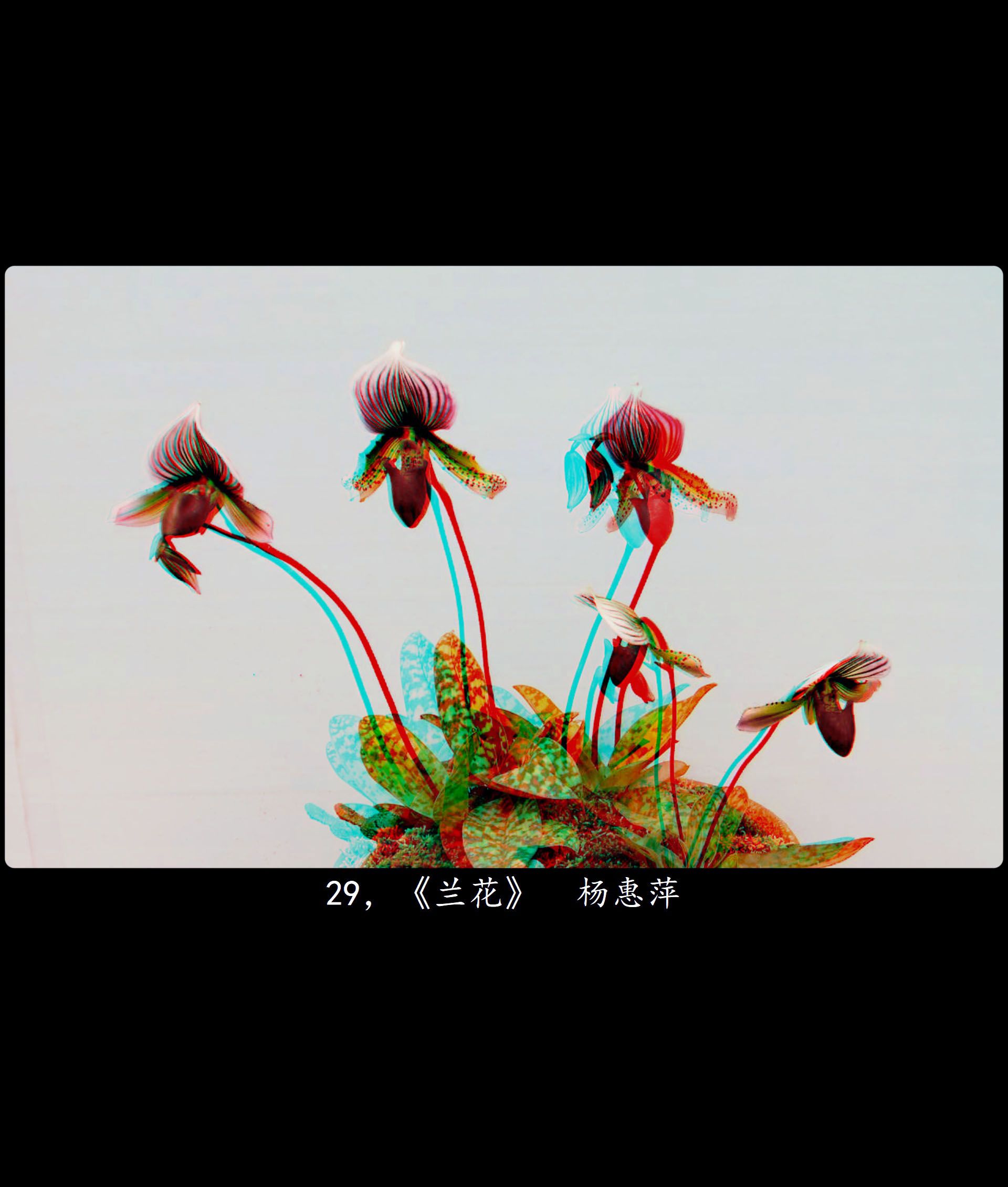 全国立体摄影作品选 III【佳作欣赏】XRC红青图 260331 - 图片9