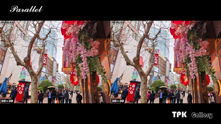 浓妆艳抹 难为商家【立体摄影】SBS左右图 260401 - 图片2