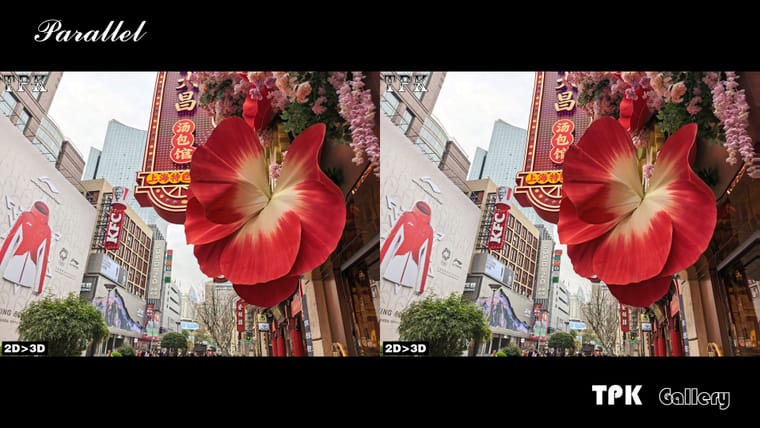 浓妆艳抹 难为商家【立体摄影】SBS左右图 260401 - 图片3
