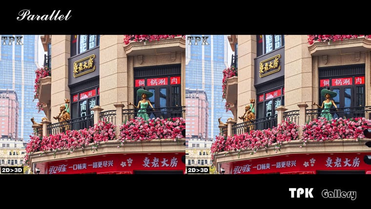 浓妆艳抹 难为商家【立体摄影】SBS左右图 260401 - 图片4