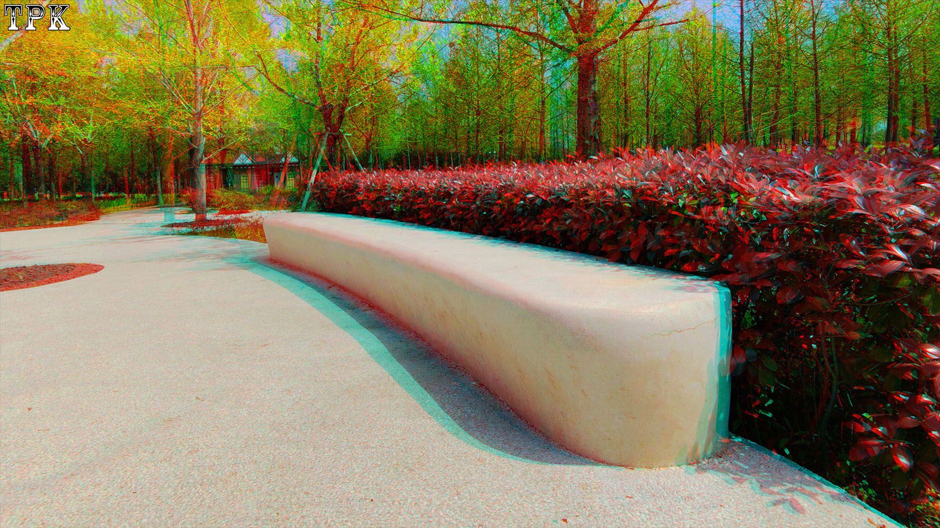 手机善拍立体照【立体摄影】XRC红青图 260411 - 图片4