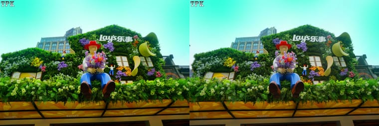 上海国际花卉节(1)【立体摄影】SBS左右图 260421 - 图片7