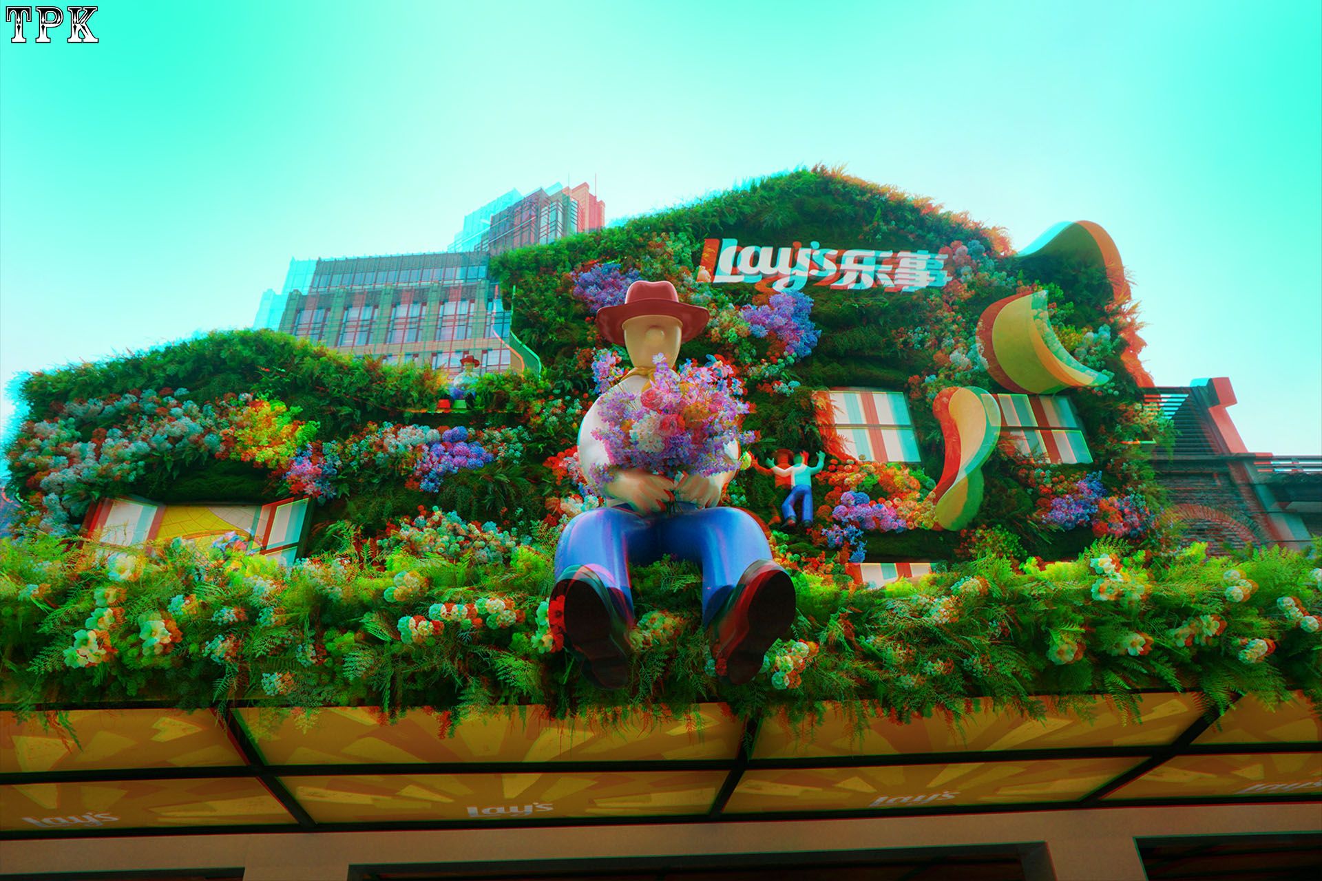 上海国际花卉节(1)【立体摄影】XRC红青图 260421 - 图片7