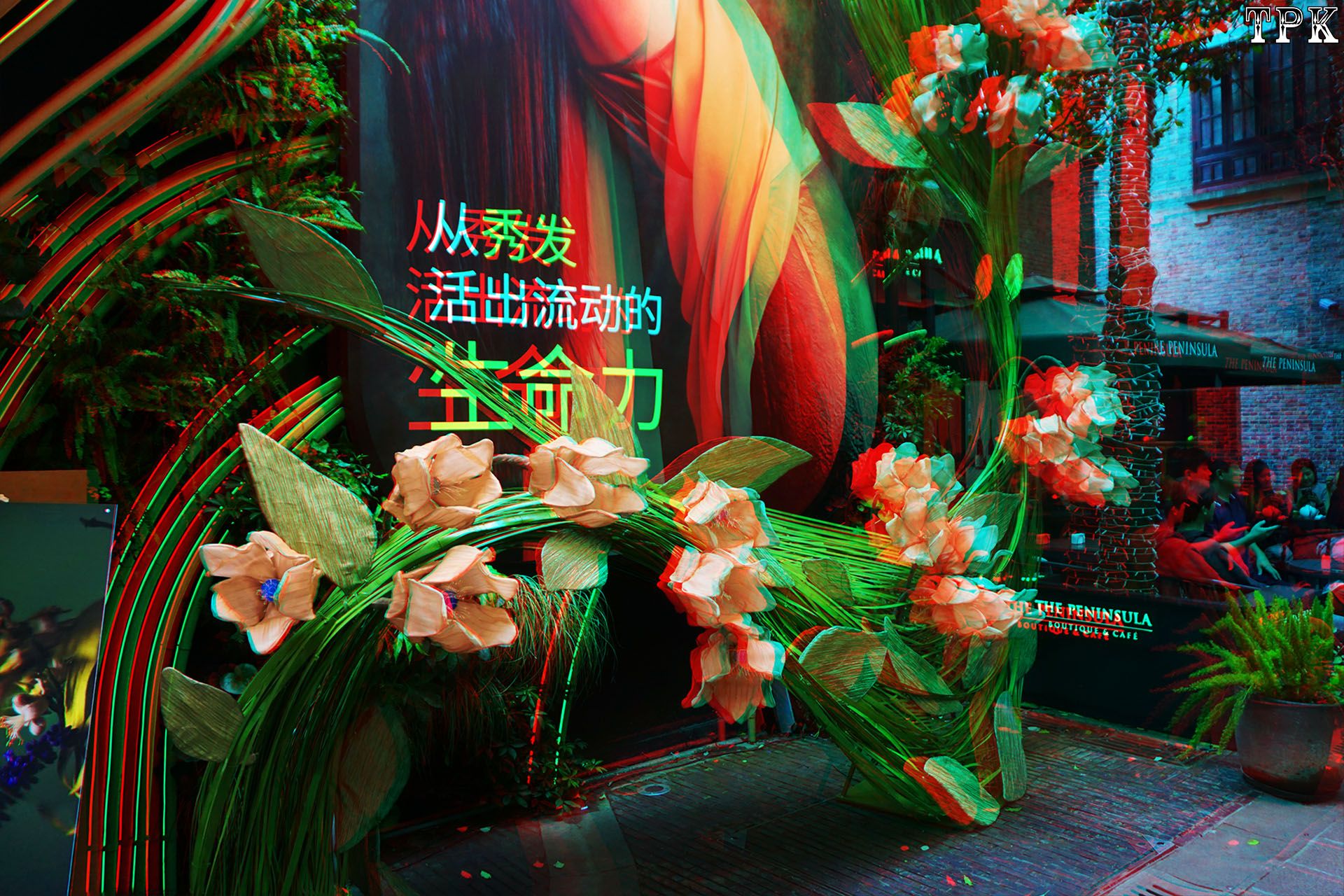上海国际花卉节(1)【立体摄影】XRC红青图 260421 - 图片8