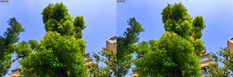 随心所摄 【立体摄影】平行左右图 260503 - 图片5