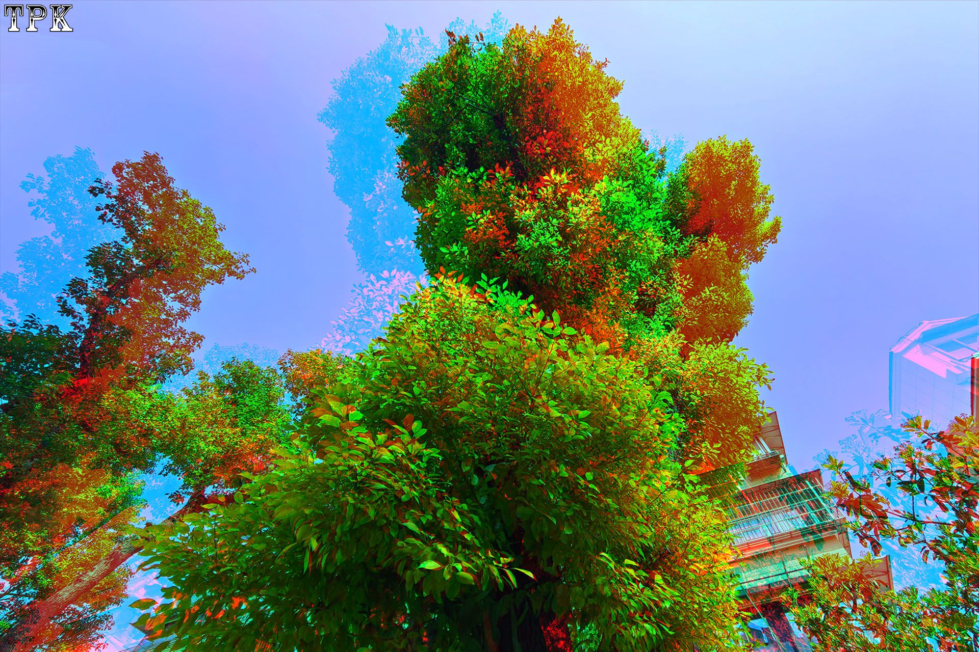 随心所摄 【立体摄影】XRC红青图 260503 - 图片5
