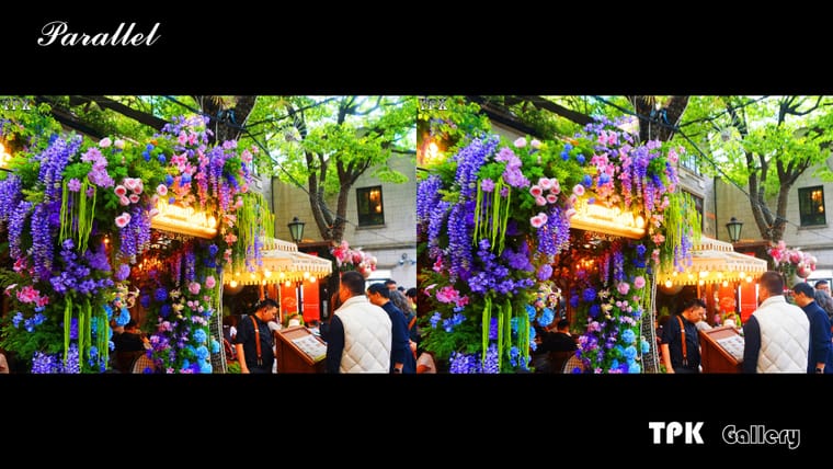 2026上海国际花卉节(4) 【立体摄影】SBS左右图 260525 - 图片5
