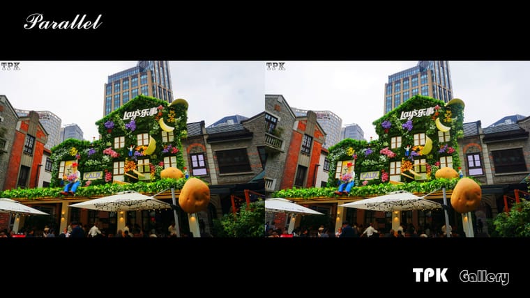 2026上海国际花卉节(4) 【立体摄影】SBS左右图 260525 - 图片6