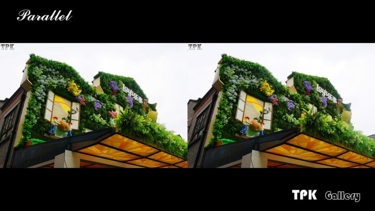 2026上海国际花卉节(5)【立体摄影】SBS左右图 260527 - 图片2