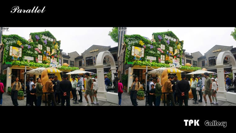 2026上海国际花卉节(5)【立体摄影】SBS左右图 260527 - 图片3